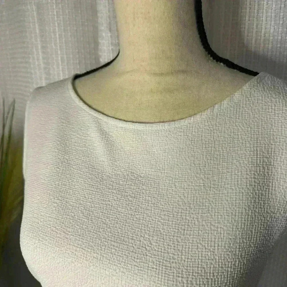 Rachel Comey Gorgeous Sleeveless White Textured Medina Dress Size 4 NWOT - Picture 2 of 15